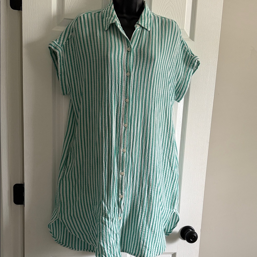 Striped Button-Front Tunic Shirt Dress in Seafoam Green & White